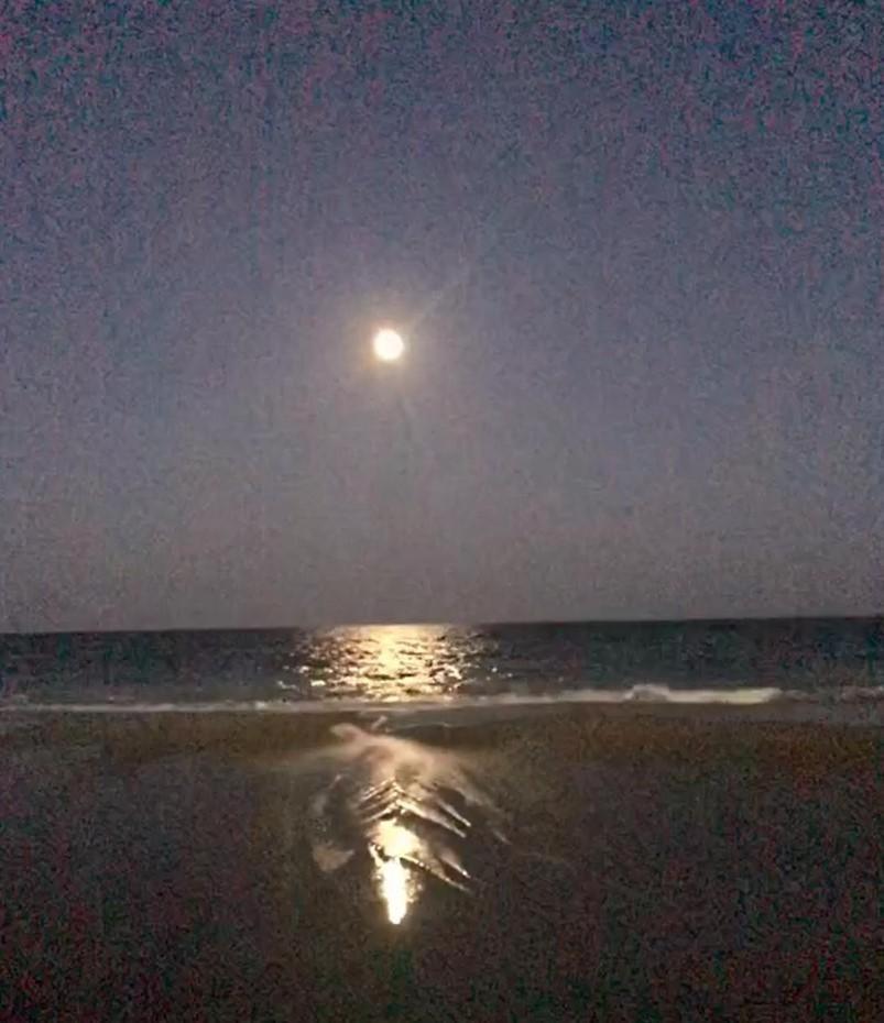 2501 S Ocean Blvd, 0811 - Ocean Front Sleeps 6 Villa Myrtle Beach Kültér fotó